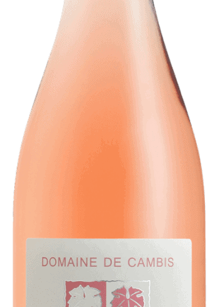 domainedecambislavieenroseaocsaintchinianvinlanguedocespacevindesaintchinian