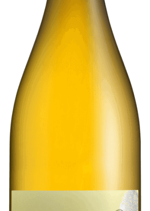 marionplaleslarmesdeJeanneaocsaintchinianvinlanguedocespacevindesaintchinian