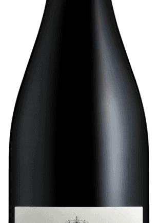 domaineaireshautestraditionminervoisvinlanguedocespacevindesaintchinian