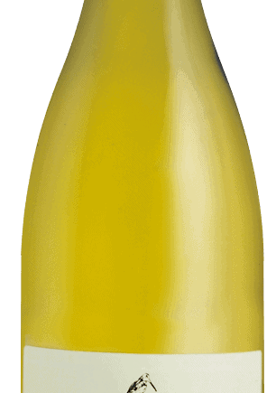 domainedesimonetbourboulencigppaysdocvinlanguedocespacevindesaintchinian