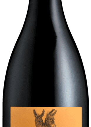 domaineles2aneslencloscorbieresvinlanguedocespacevindesaintchinian