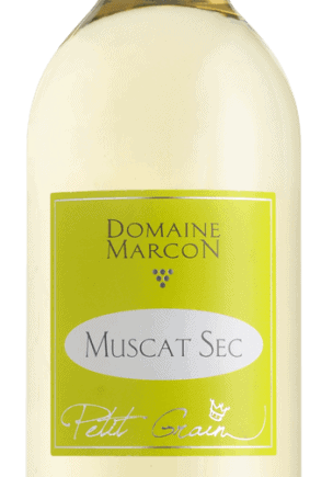domainemarconmuscatsecvindefranceespacevindesaintchinian