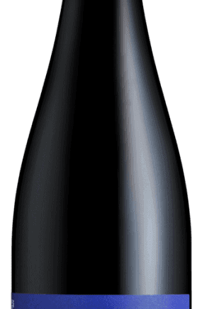 domaineremijailletlesmitounescorbieresvinlanguedocespacevidesaintchinian