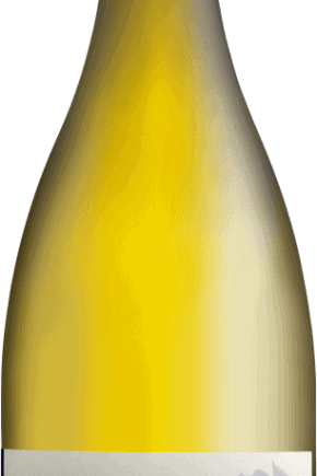 domainesophiecinieralacotesaintveranbourgogneespacevindesaintchinian