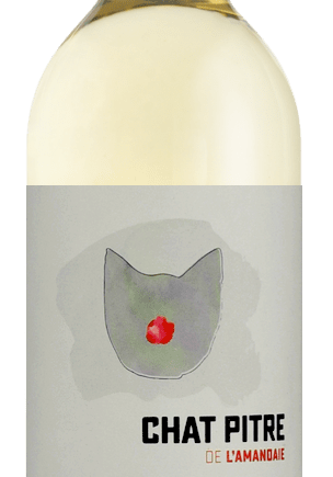 vin blanc chat pitre clos de l amandaie