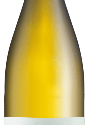 Saint Sylvestre Blanc Domaine Saint Sylvestre
