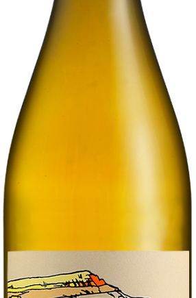 Cuve Mouscaillo vin blanc domaine mouscaillo